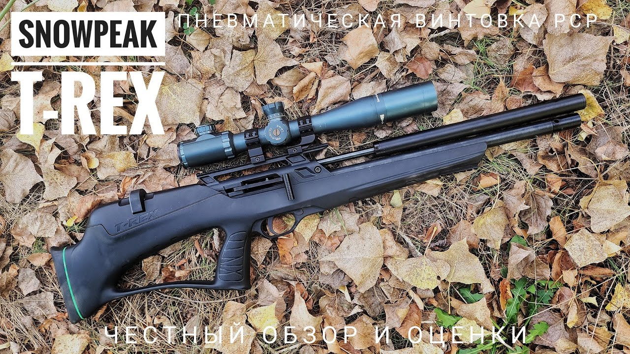 Snowpeak T-Rex Bullpup. Бюджетная РСР винтовка. Обзор, тест и мои оценки.