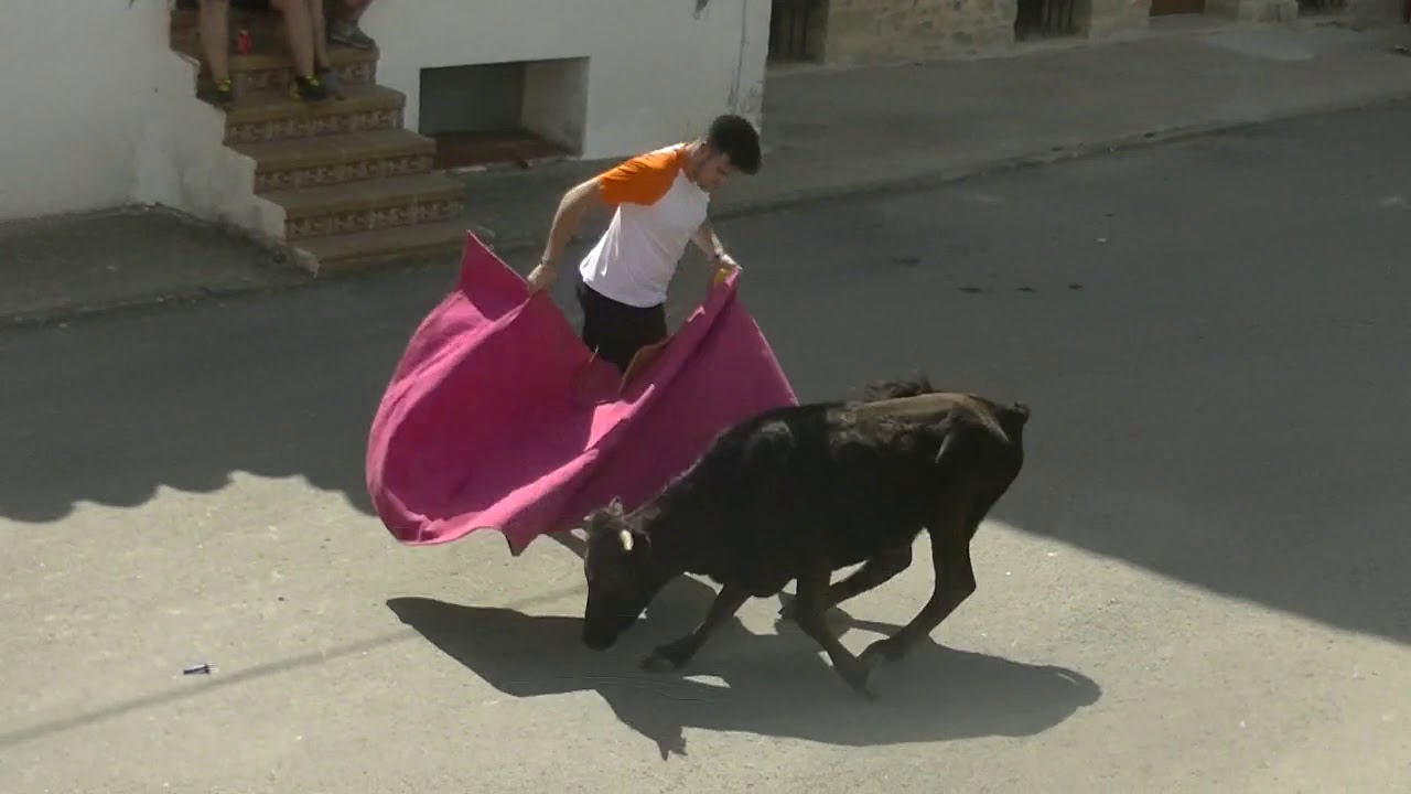 FORTANETE. FIESTAS DE LA JUVENTUD 2019. DÍA TAURINO
