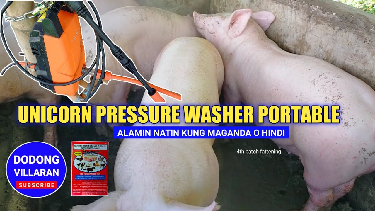 UNICORN PRESSURE WASHER PORTABLE / ALAMIN NATIN ANG KUNG MAGANDA O HINDI / Part 2 /Vlog 181