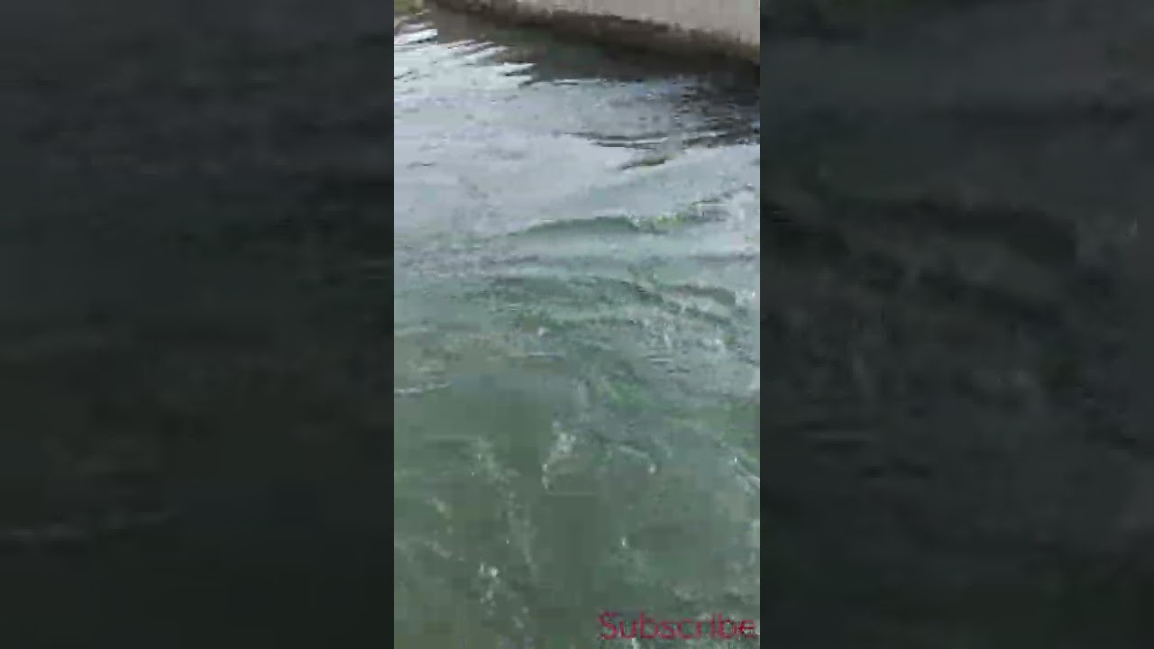 water flow by show Online | Please Like Share Comments And Subscribe