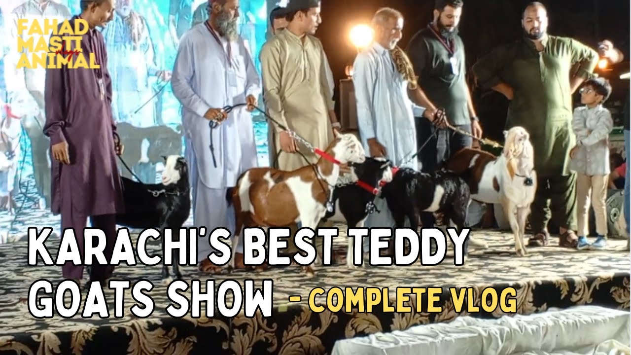 Karachi kay sub say behtareen teddy bakray - KTGA Full Complete - vlog 168