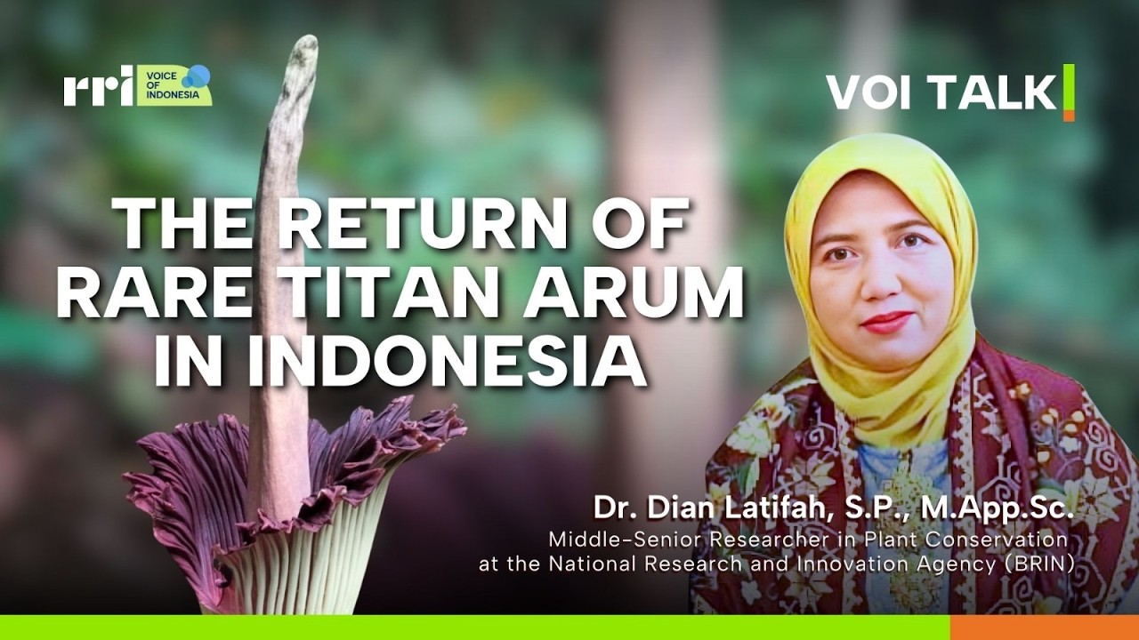 The Return of Rare Titan Arum in Indonesia