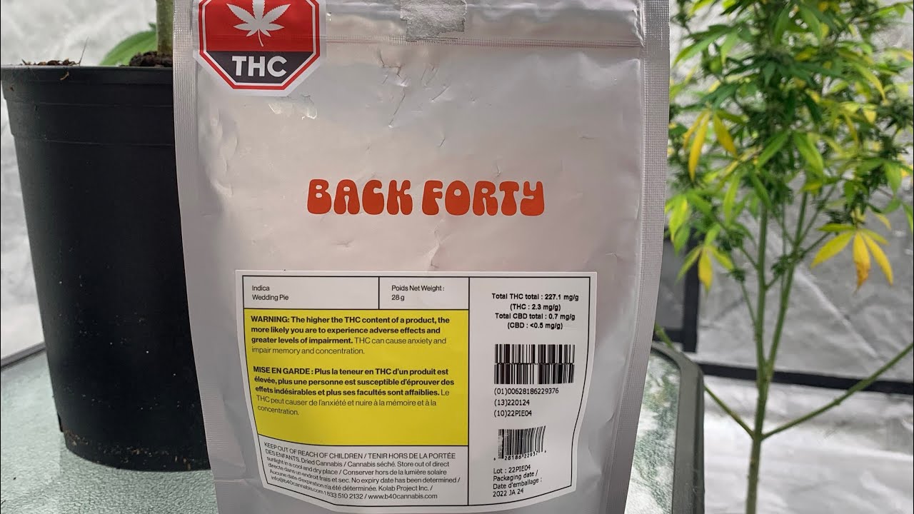 BACK FORTY &ldquo;WEDDING PIE&rdquo; WEED REVIEW
