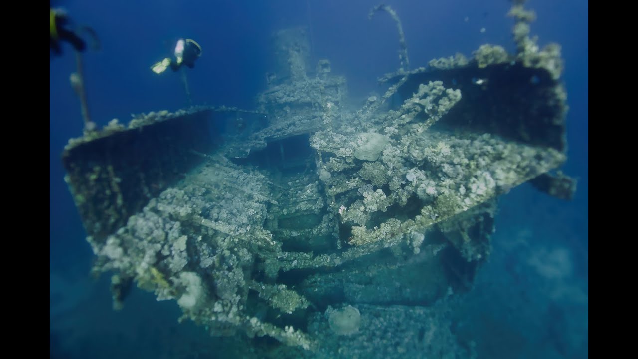 Diving in Yanbu, Saudi Arabia