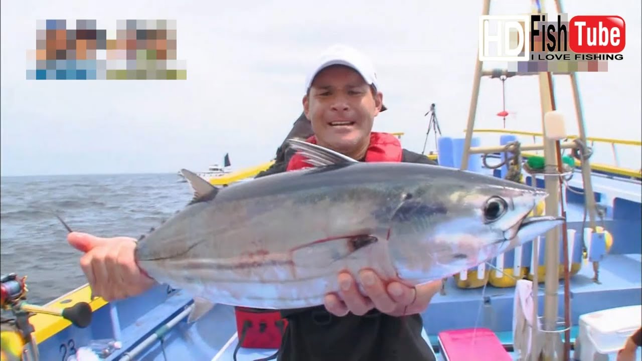 【fishing】神奈川県江の島沖　カツオ、キハダを相模湾でGET！！
