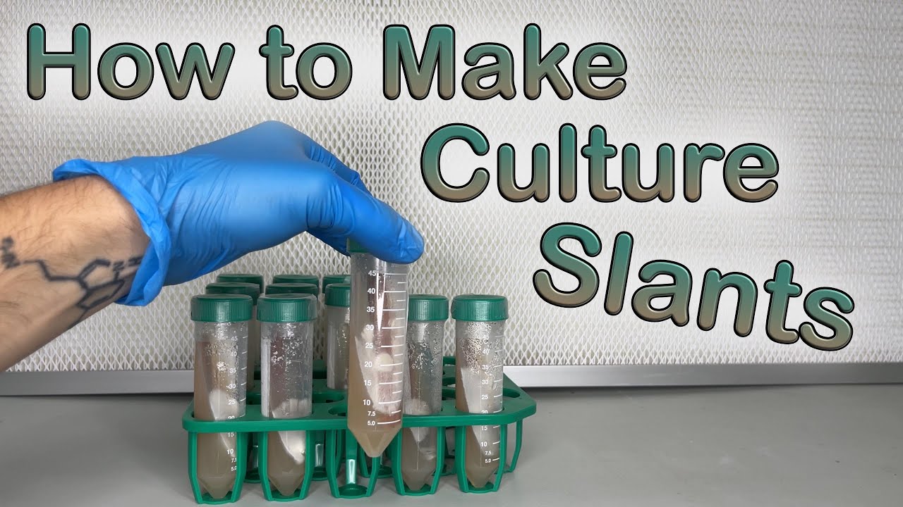 How to Make Mushroom Culture Slants for Long Term Storage