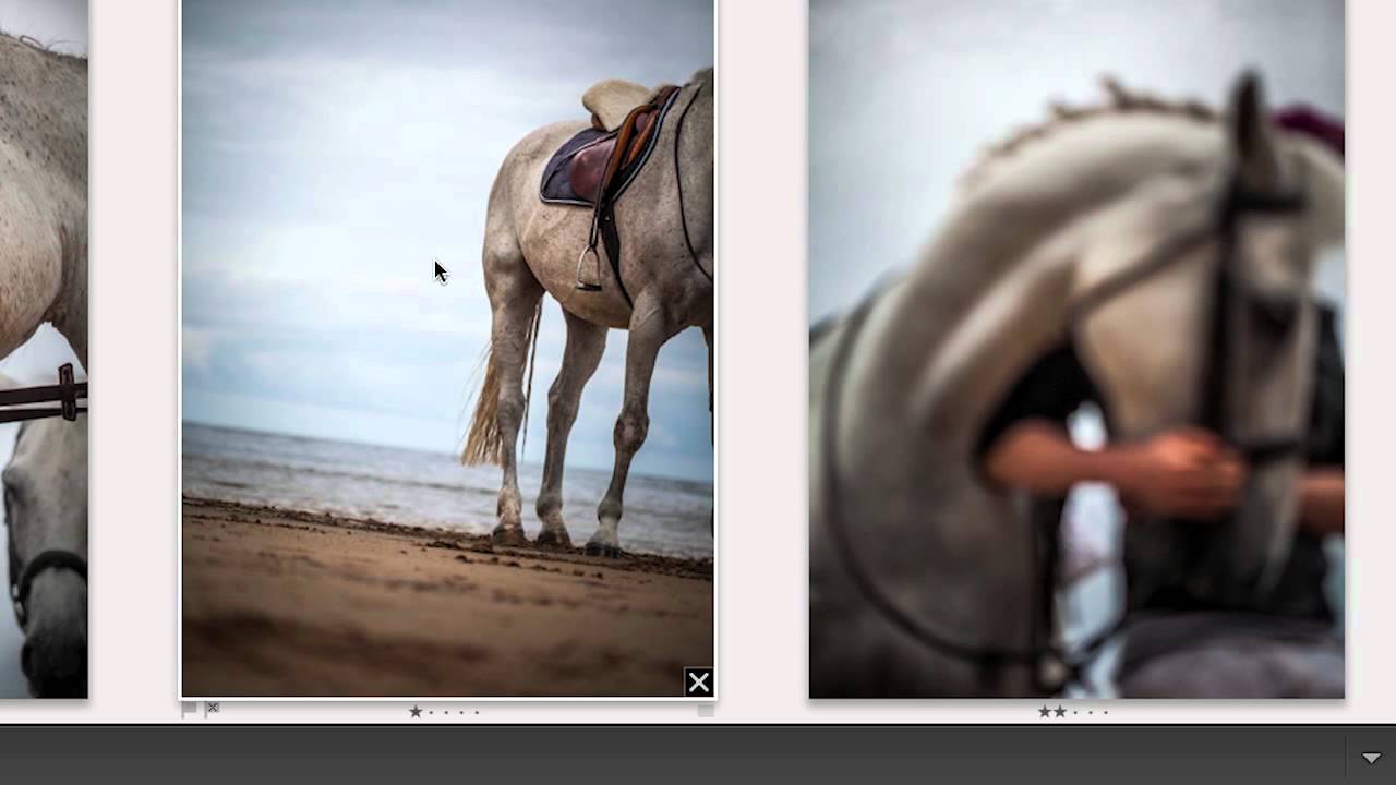 Lightroom 4: Select, Rate and Prioritize Your Images | Adobe Lightroom