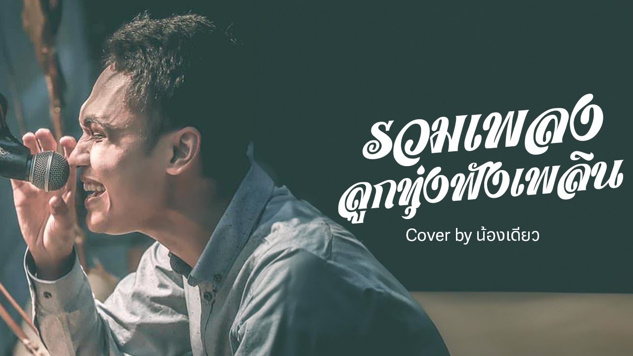 รวมเพลงลูกทุ่งฟังเพลิน - น้องเดียว สุวรรณแว่นทอง ฟังยาว 31 เพลง