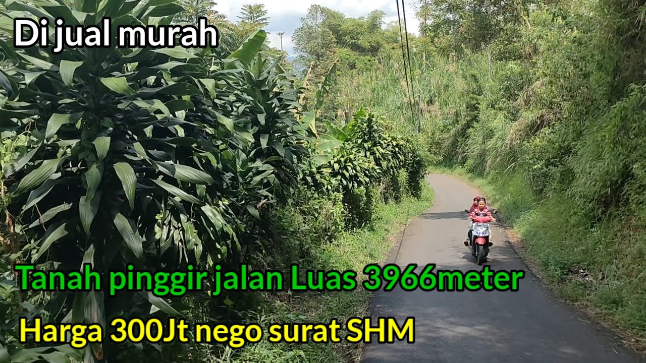 Terjual‼️ Luas 3966meter Pinggir Jalan Di jual Murah 300jt Nego Bisa langsung panen