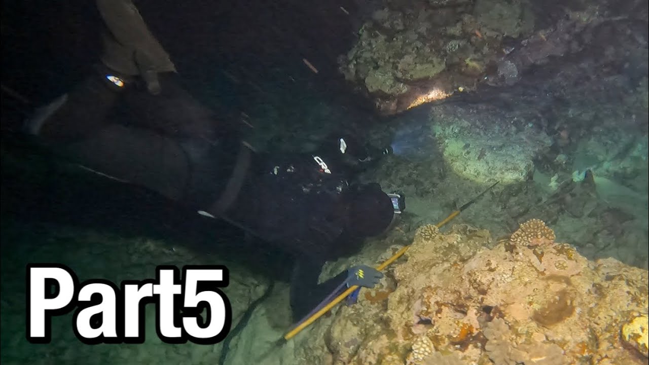 【3泊4日サバイバル】夜の海で怒涛の素潜り！最高の食事でついに完結。