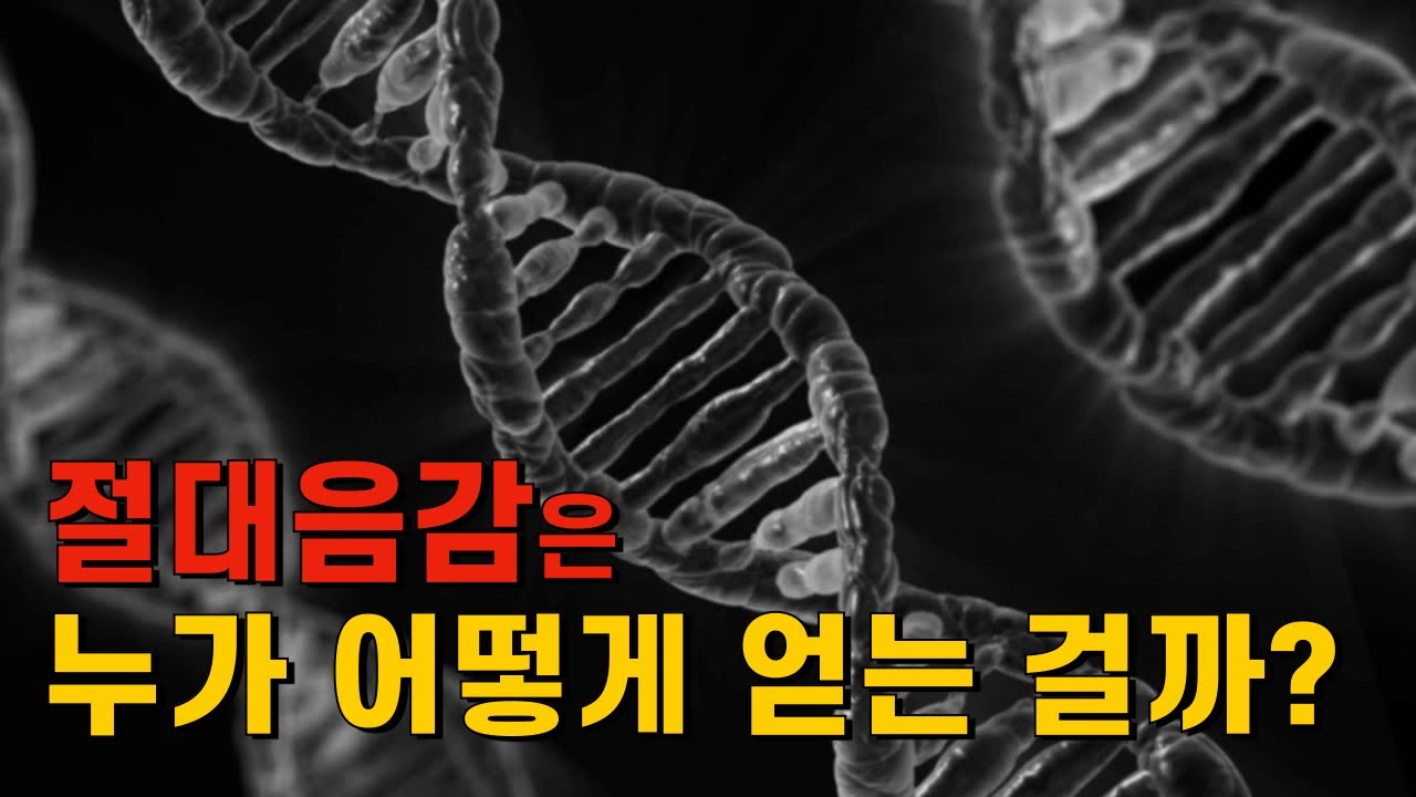 절대음감의 신비