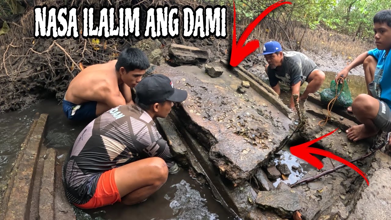 WOW! ANG DAMI DITO SA ILALIM NG NATUMBANG PADER SARI-SARING ISDA!!