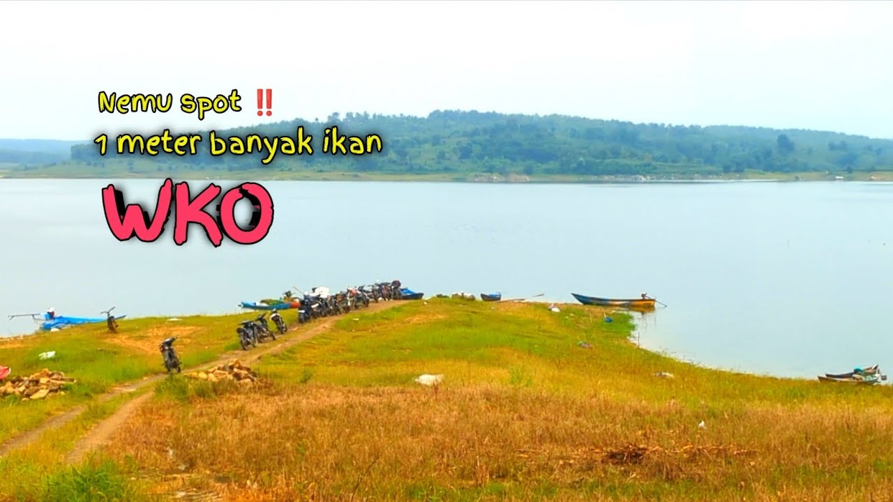 Ikan sangat gacor di kedalaman 1 meter ‼️