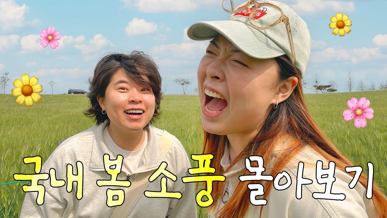 봄에 가기좋은 국내여행 몰아보기 (2시간 46분) / 도깨비촬영지 고창, 대관령양떼목장 강릉, 다랭이마을 남해 한달살기