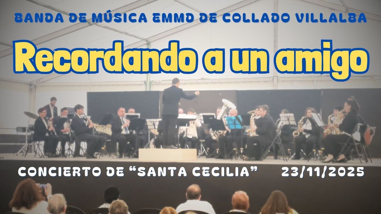 RECORDANDO A UN AMIGO | Paulino Marti