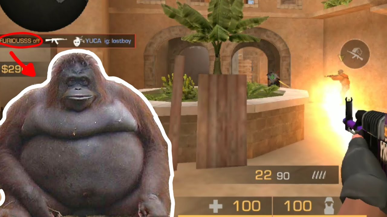 MONKEY PEEK