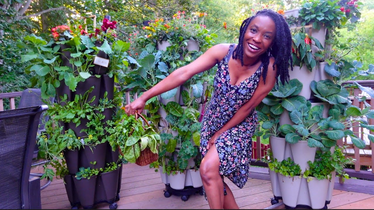 How Growing POUNDS of Food on a Deck Actually Works| Garden Tour of 150 Crops