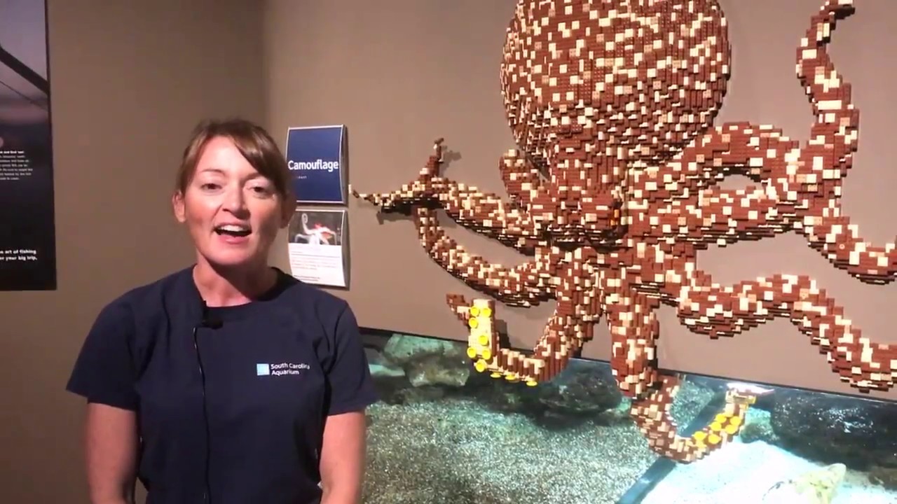 Takeover Tuesday with Senior Biologist, Shannon Howard