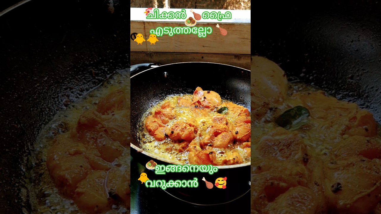 ​"പരിശുദ്ധമായ ചിക്കൻ ഫ്രൈ പ്രണയം! 🍗✨" 