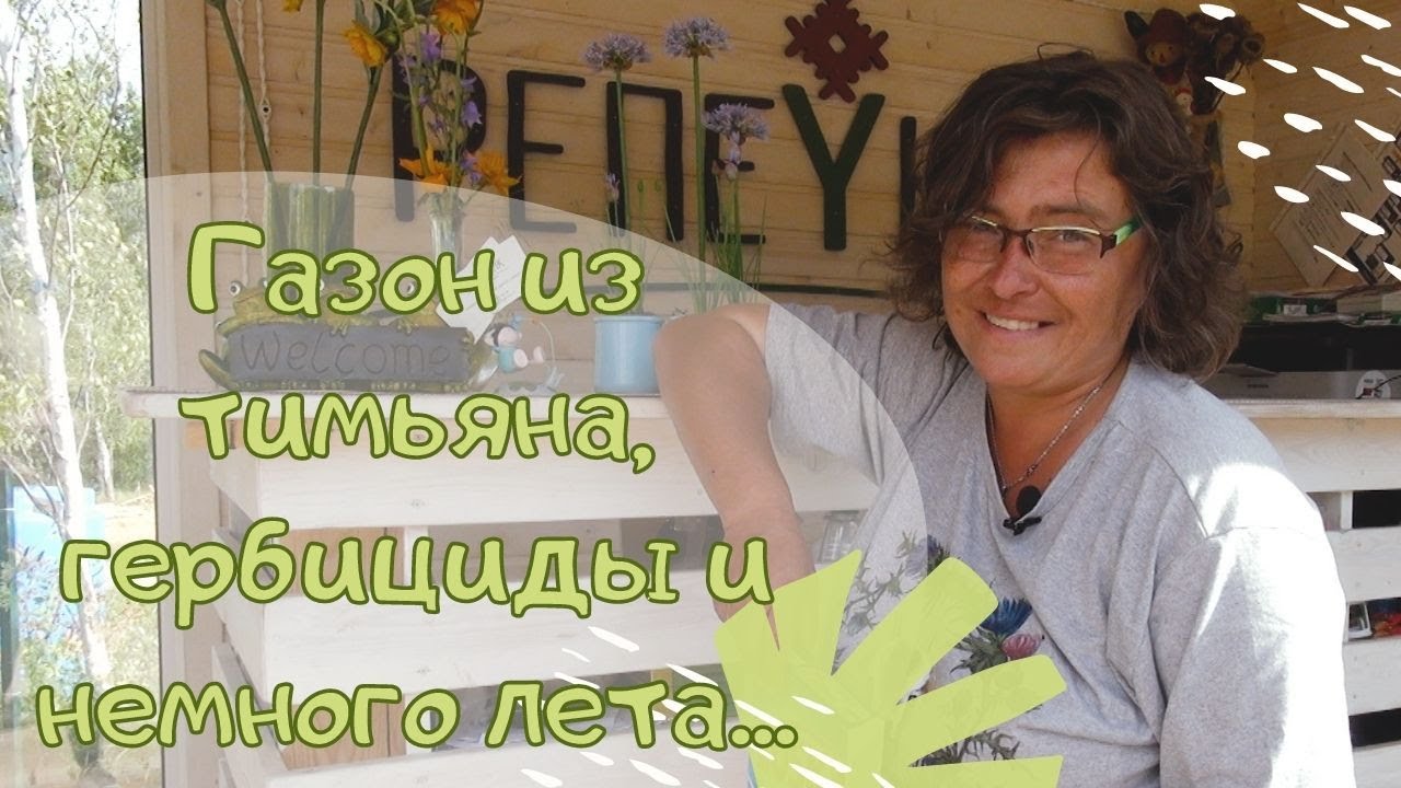 Газон из тимьяна, гербициды и немного лета...