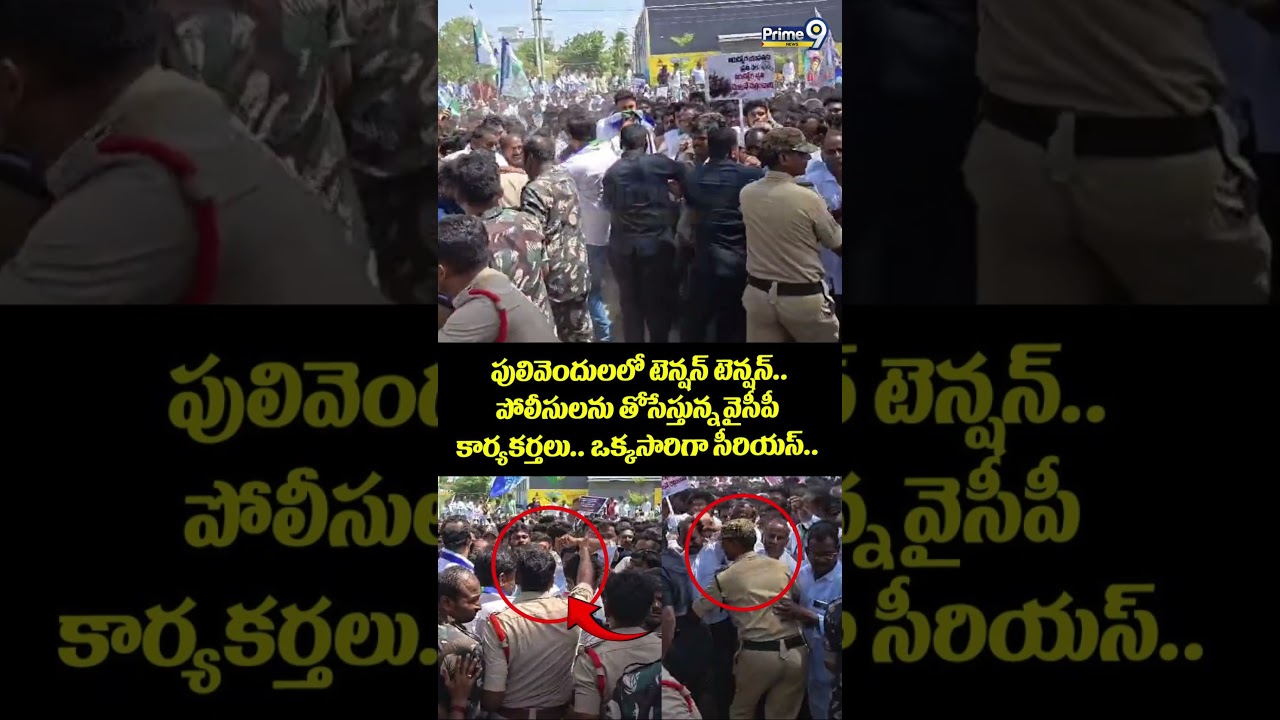 Avinash Reddy Viral : పులివెందులలో టెన్షన్ టెన్షన్.. పోలీసులను తోసేస్తున్న వైసీపీ కార్యకర్తలు..