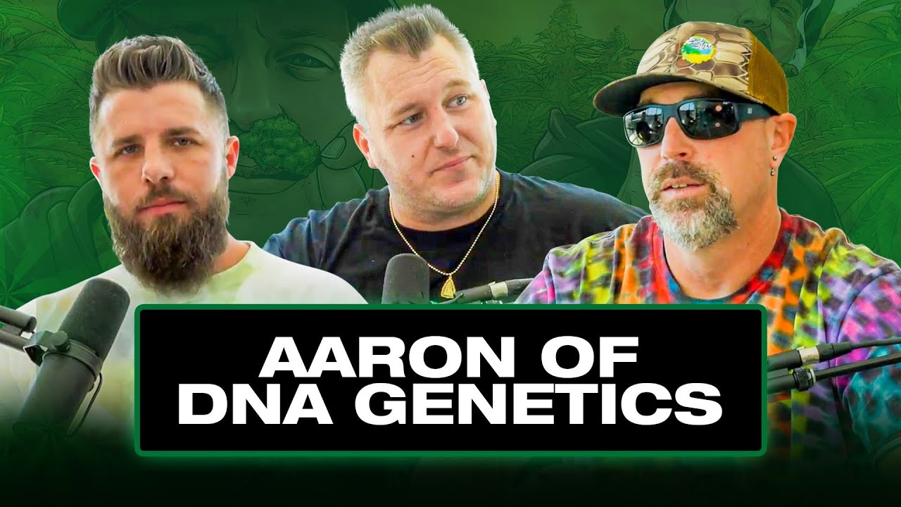 WORLD’S BIGGEST SEEDS SELLERS FROM CALIFORNIA TO AMSTERDAM | AARON OF DNA GENETICS | FSOTD EP. 42