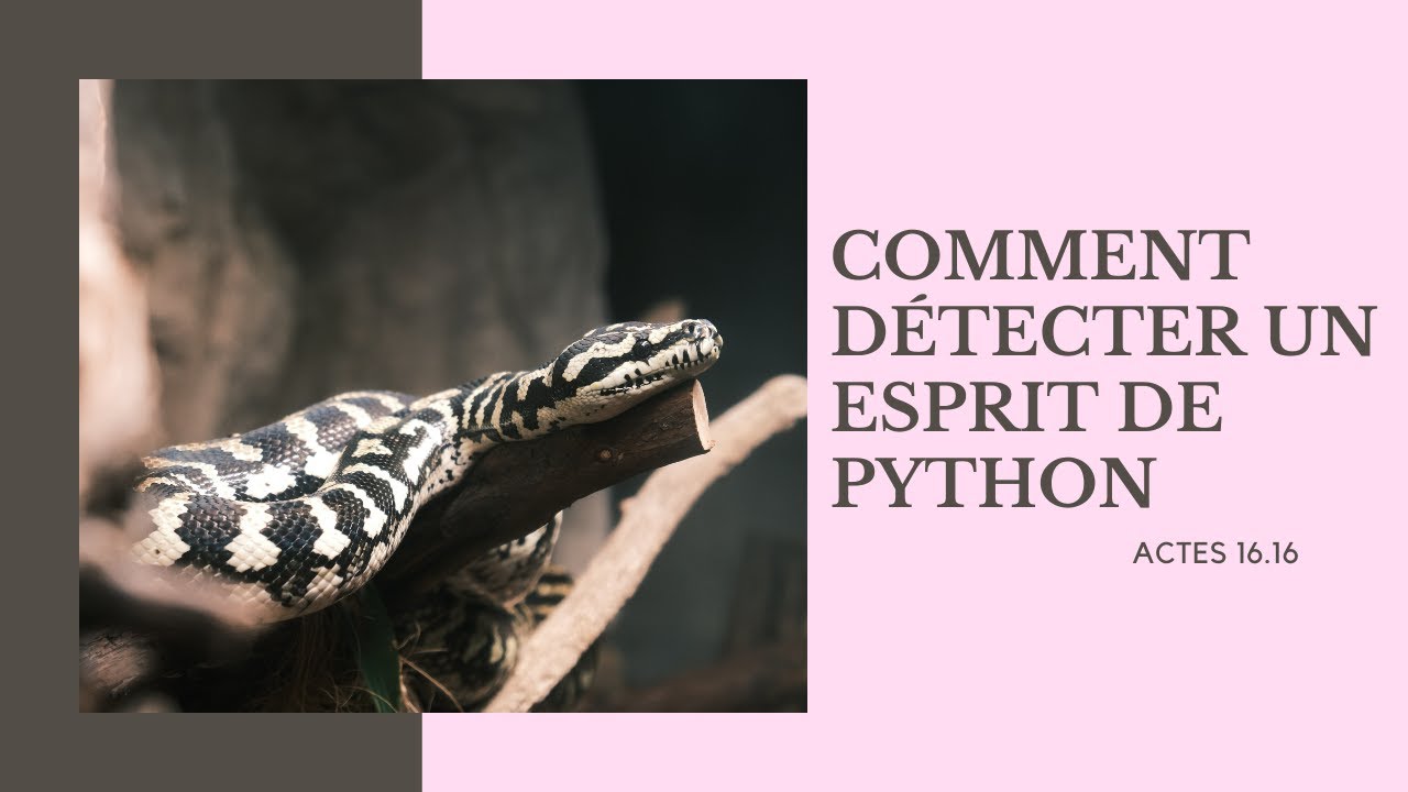 COMMENT D&Eacute;TECTER UN ESPRIT DE PYTHON