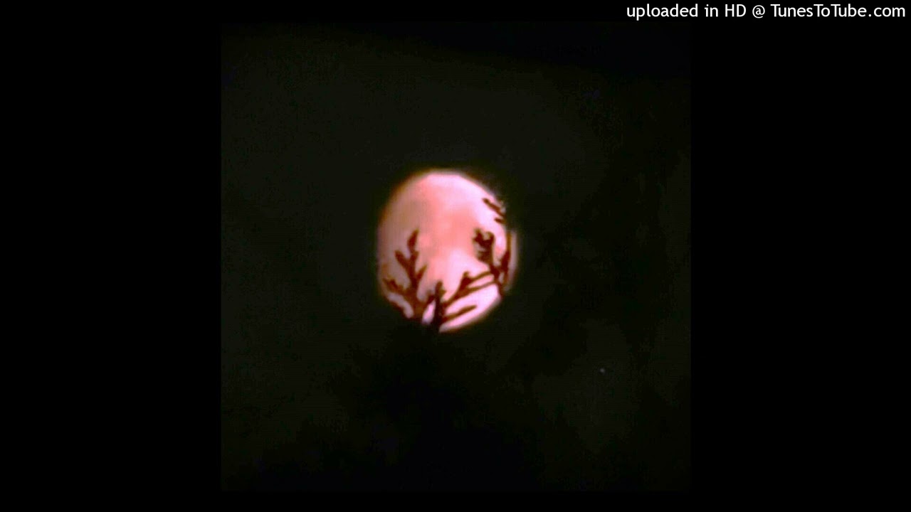 [BEAT] BoofPaxkMooky x Dream Plugg Type Beat (Prod.MonCriss)