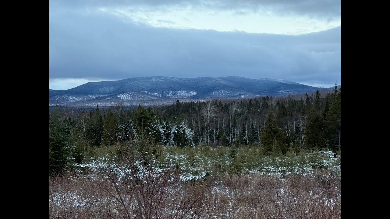 My first trip to The big woods of Maine.  Rodney Elmer & Mountain Deer is live!   #Maine #jesus