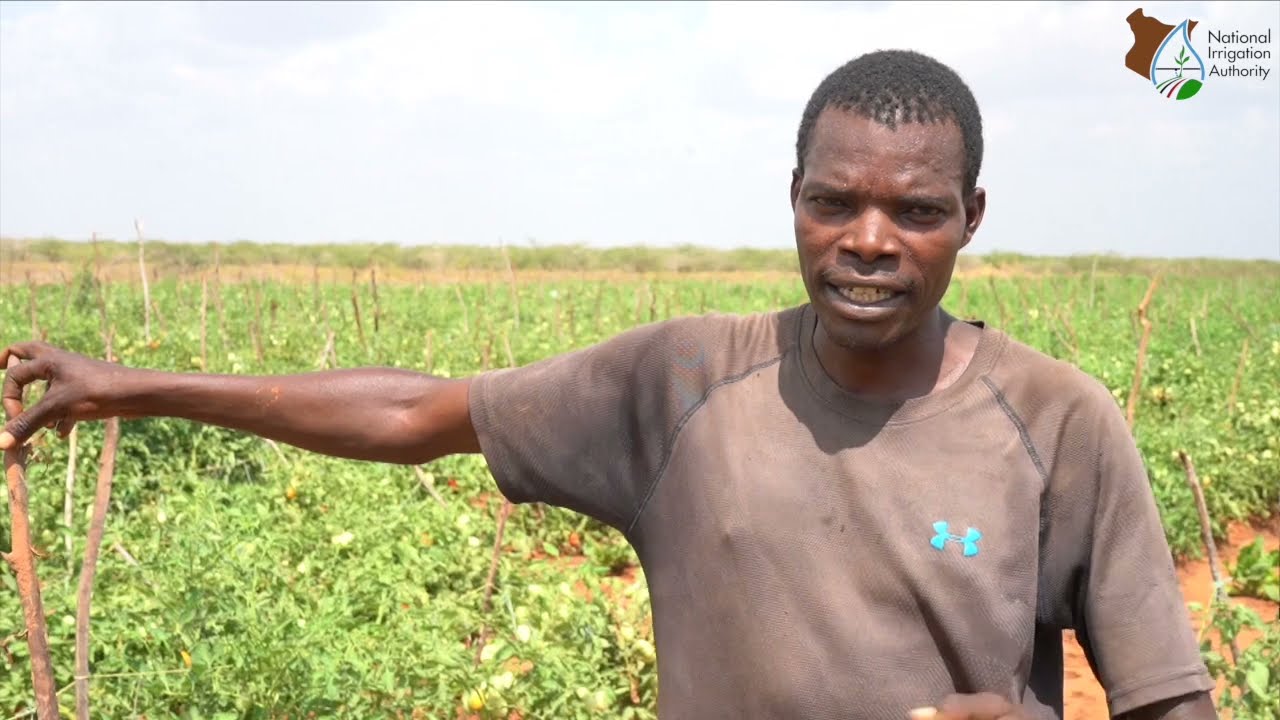 Bura Irrigation Scheme