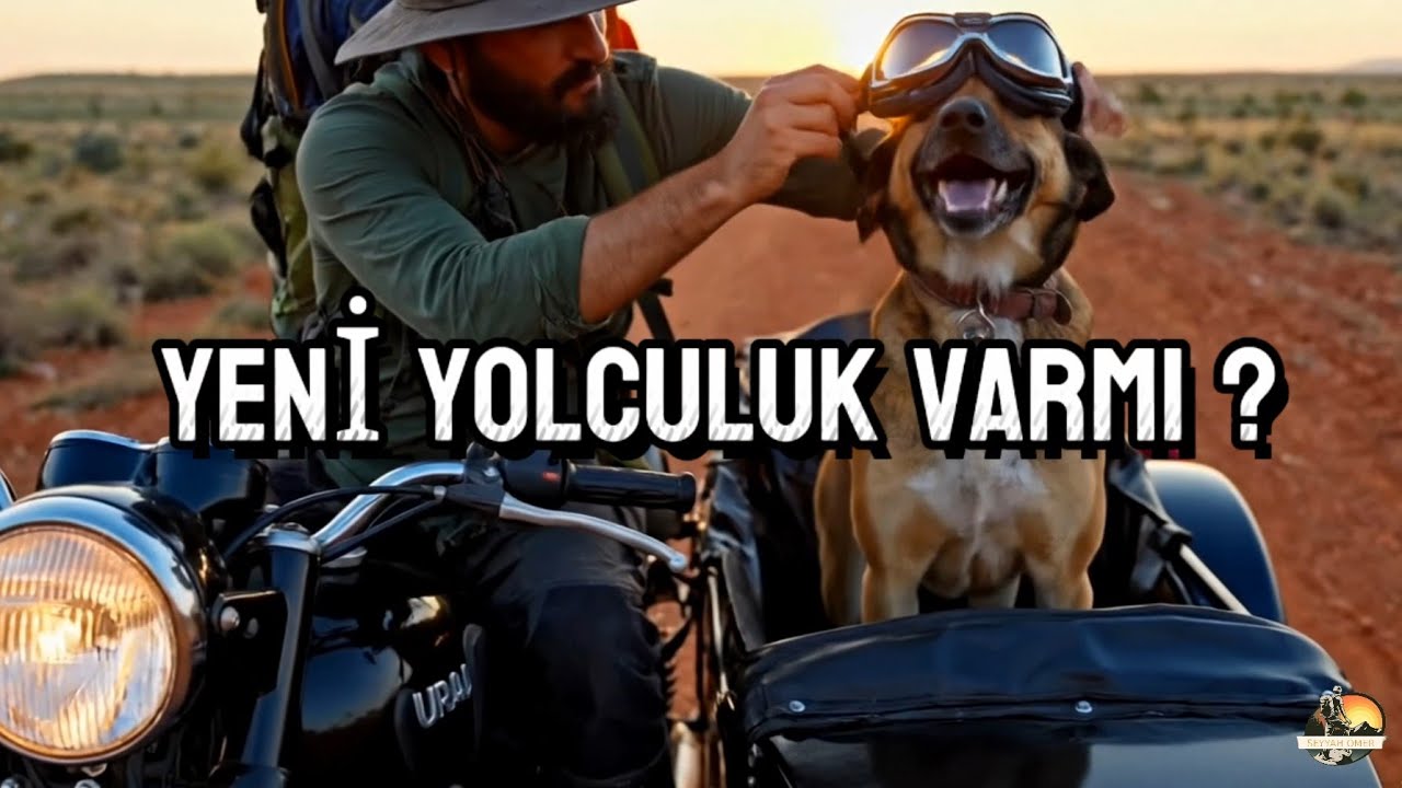 Şİmdi Plan Ne ? | Sizden Gelen Videolar.!! 