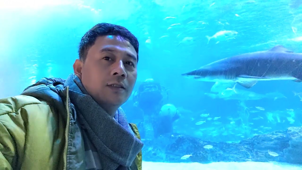 Ang Ganda ng Aquarium sa Busan