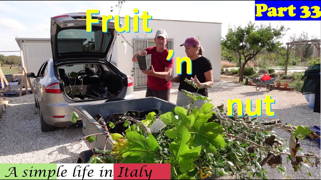 Growing the diversity of trees at La Bolla #ITALY LIFE