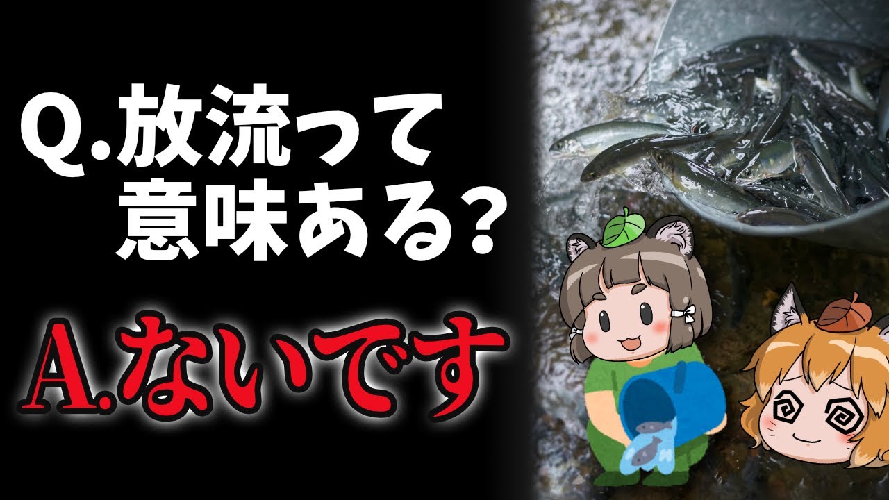 【まさかの】魚の放流って意味あるの？←ないです