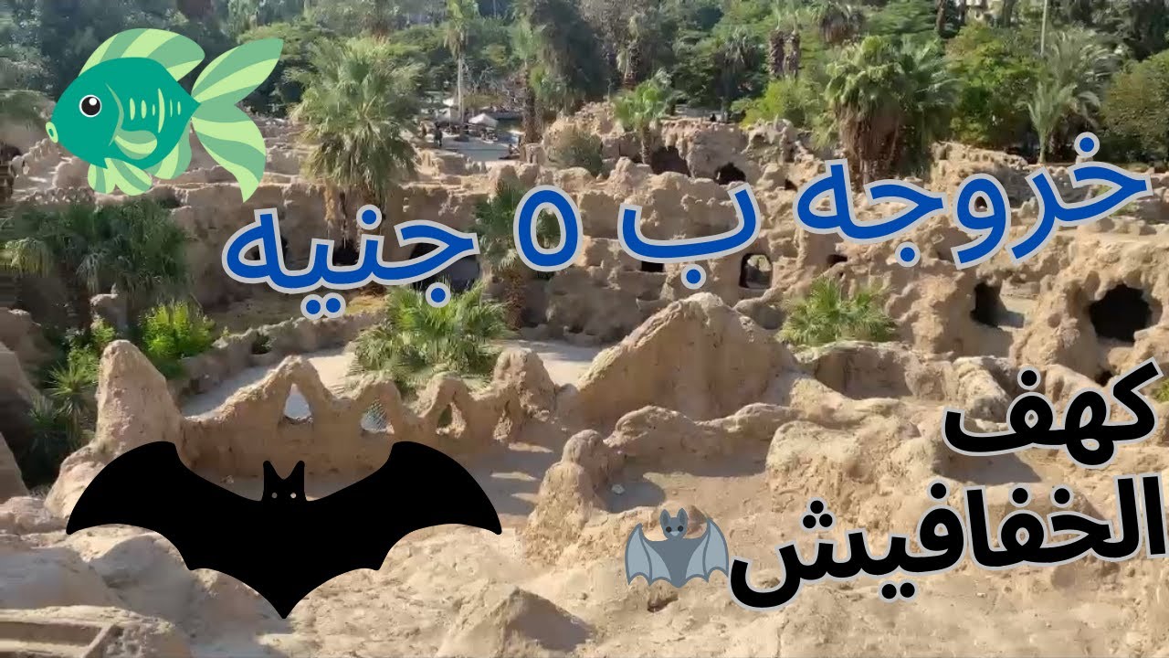 هندخل كهف الخفافيش 🦇 و هنشوف انواع كتير من السمك 🐬 و كل ده ب 5 جنيه بس🔥