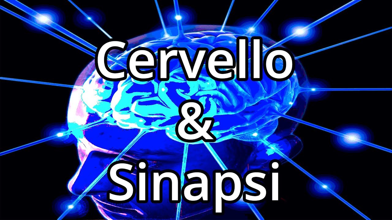 CERVELLO & SINAPSI - - Spiegazione