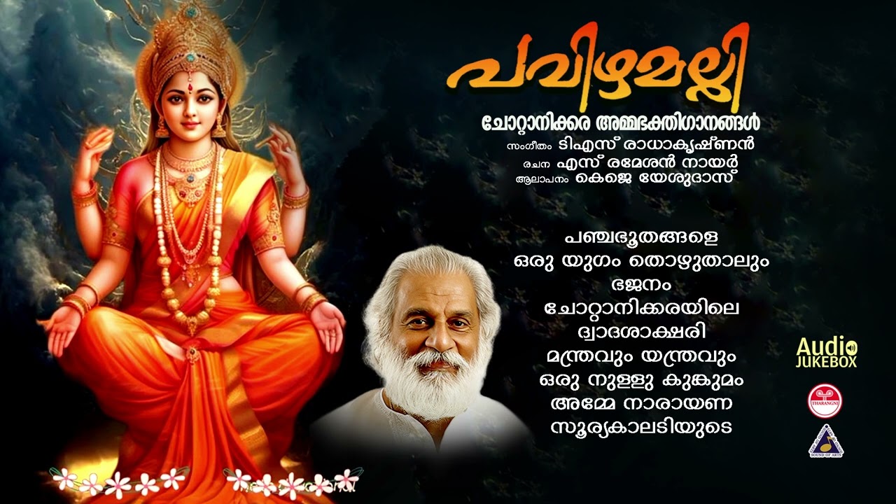 മലയാളക്കരയൊന്നാകെ സൂപ്പർഹിറ്റായ ദേവീഗീതങ്ങൾ|Hindu Devotional Songs Malayalam|Devi Songs|Pavizhamalli