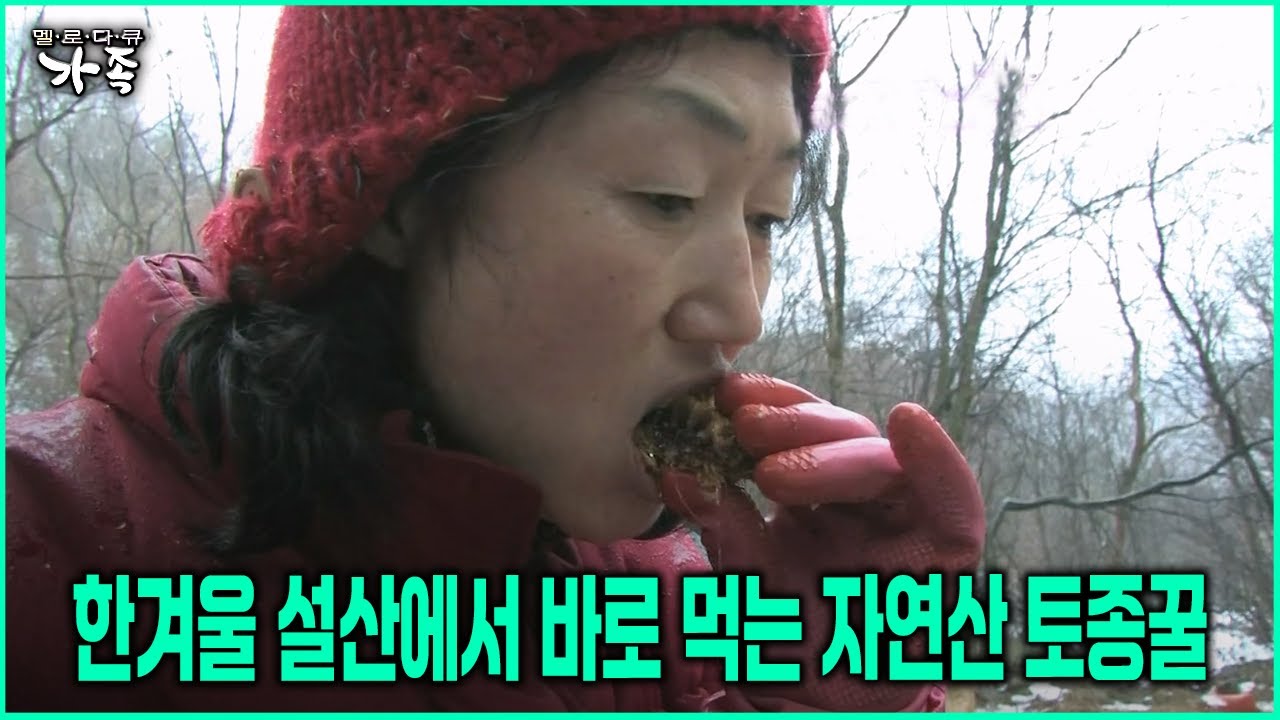 [다큐 ‘가족’ 48회-3] 한겨울 설산에서 바로 먹는 자연산 토종꿀