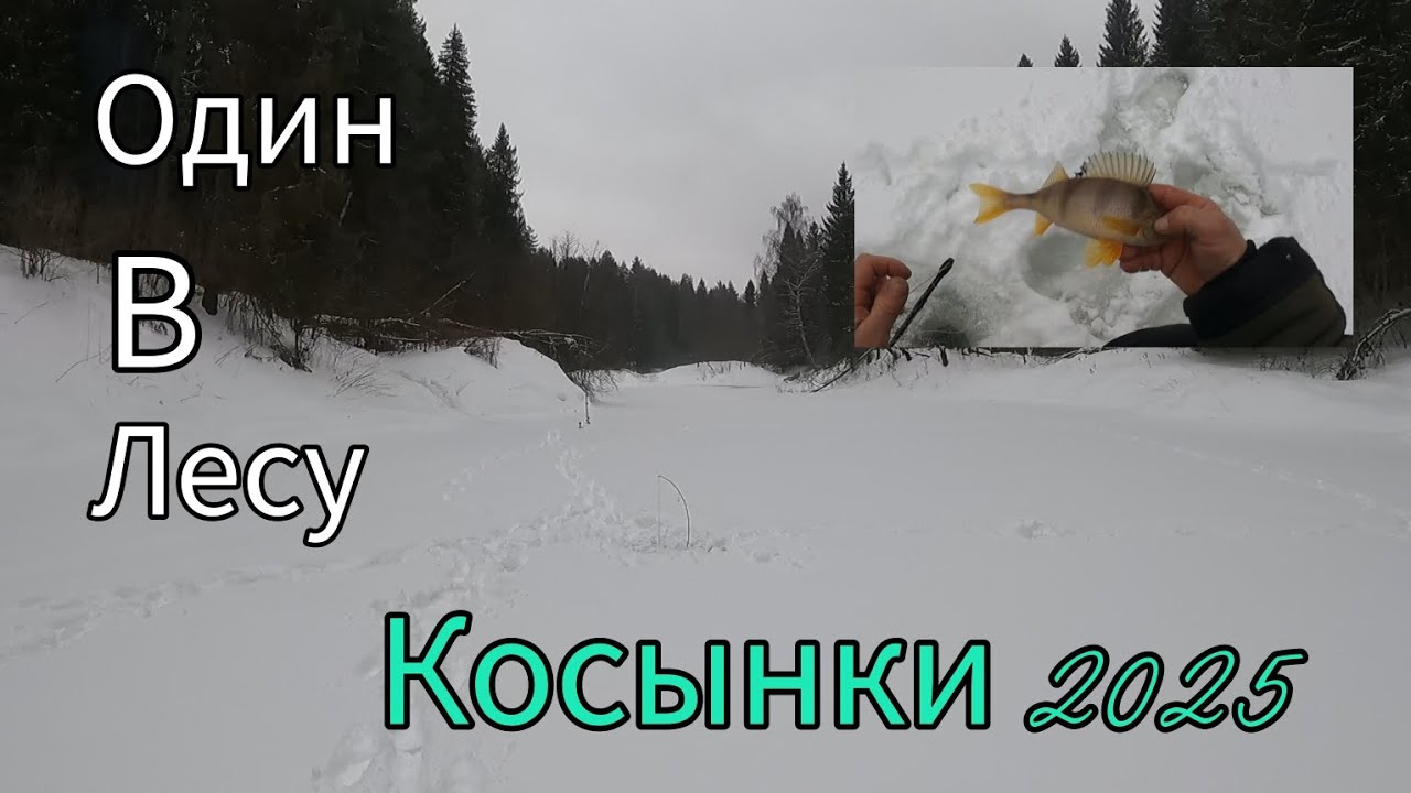 ГЛУХОЗИМЬЕ. РЫБАЛКА НА КОСЫНКИ 2025. РЫБА РВЕТ КОСЫНКИ. ТАЕЖНАЯ РЕЧКА.