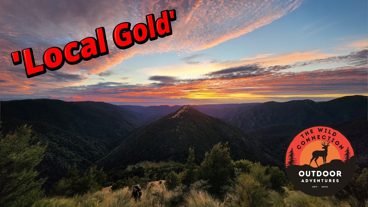 'Local Gold' - Overnight Hunt with Son - Looking for Wild Sheep & Deer