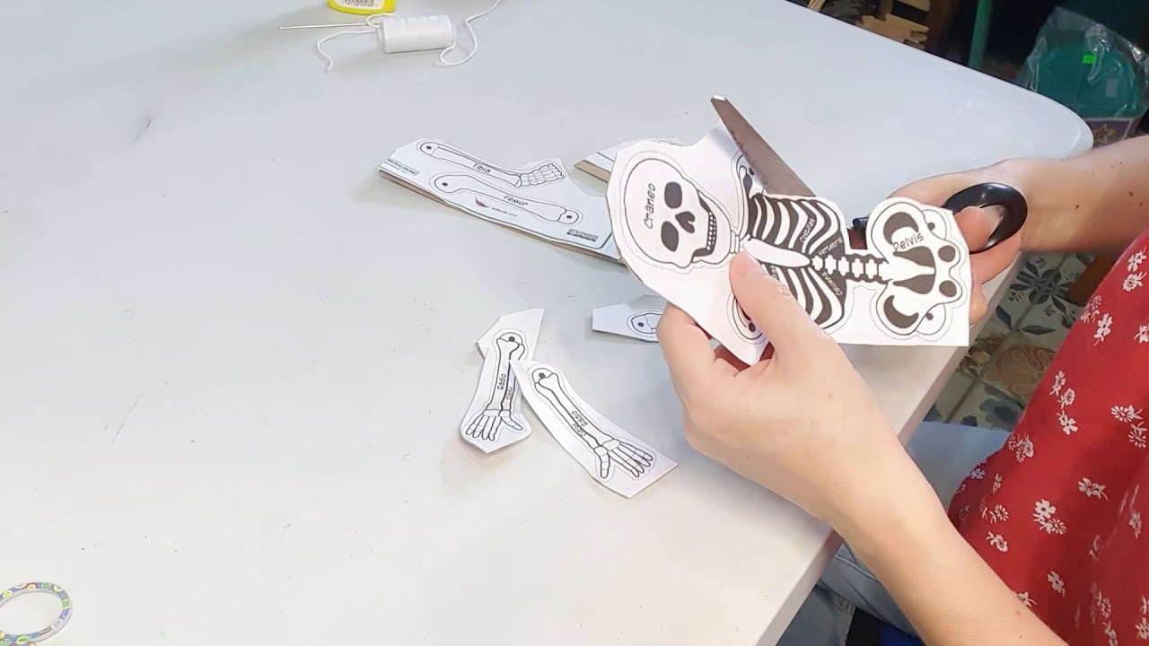 Títere de esqueleto humano con papel y cartulina