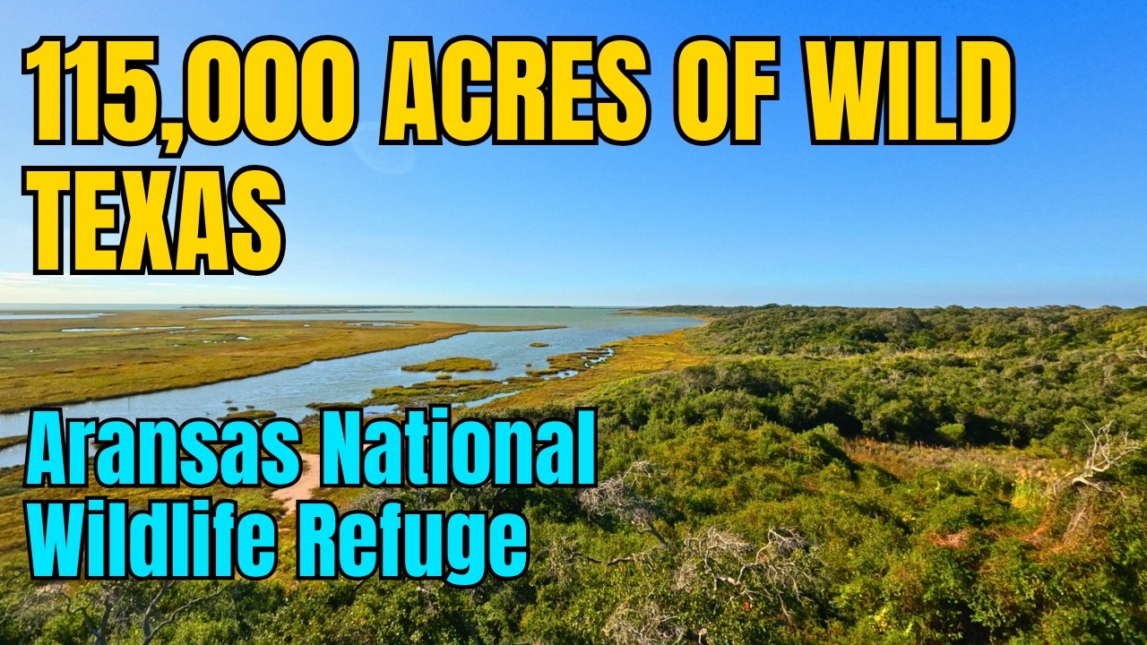 Aransas National Wildlife Refuge | Texas Gulf Coast Wildlife, Marsh & Scenery