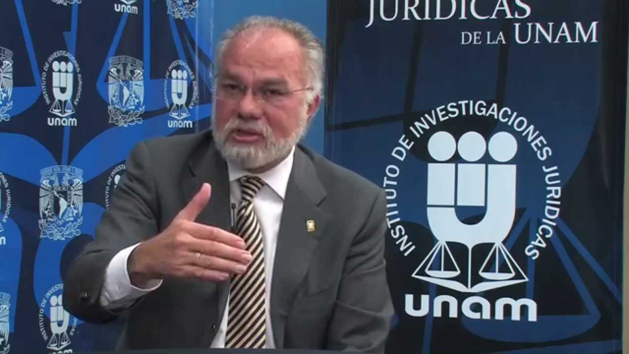 Los Mecanismos de Protección a Cargo de la CIDH - José de Jesús Orozco Henríquez