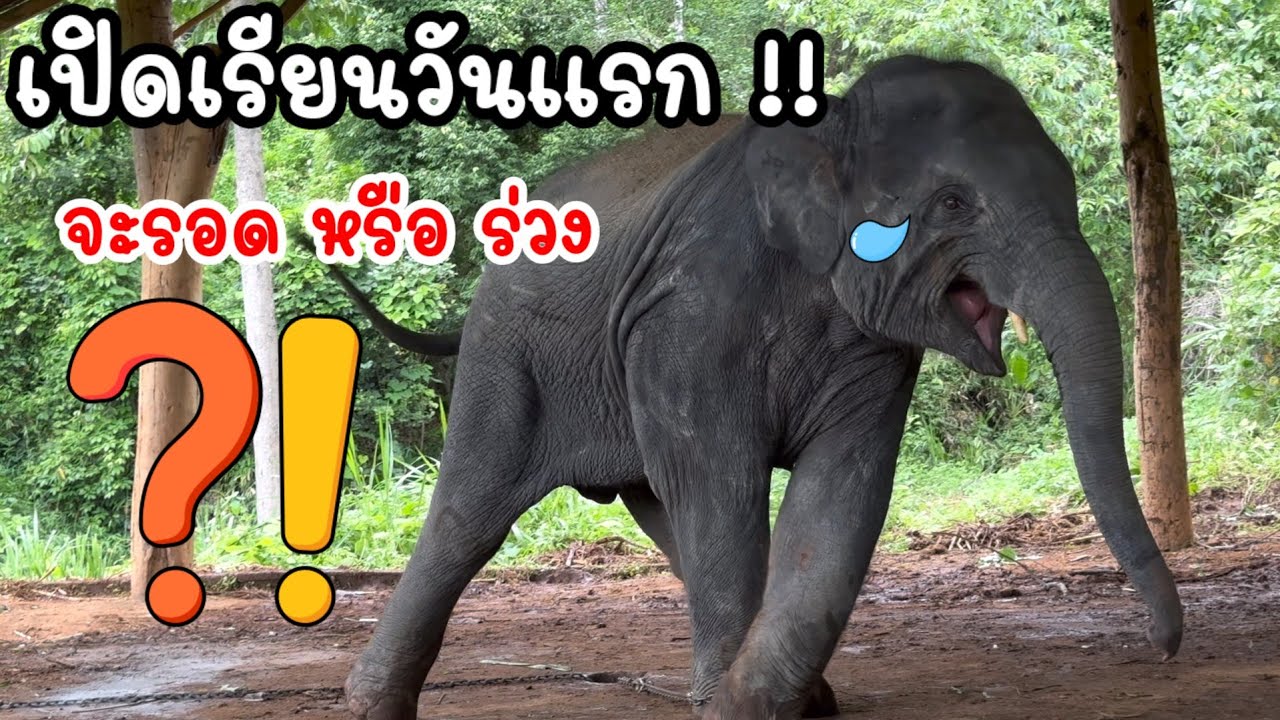 รอด หรือ ร่วง เข้าโรงเรียนวันแรก ‼️ของต้นหนาว จะเป็นยังไง