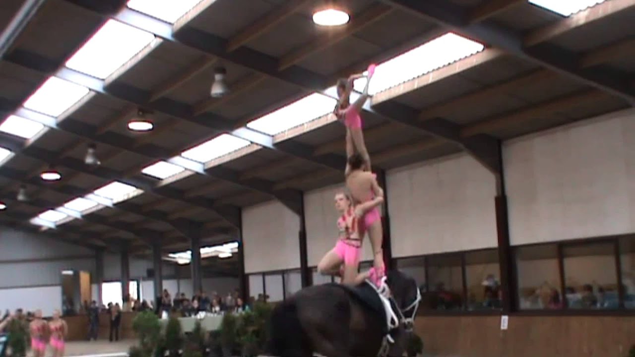 RSV Neuss - Grimlinghausen 1, Freestyle, Saturday - CVI Belgien 2013