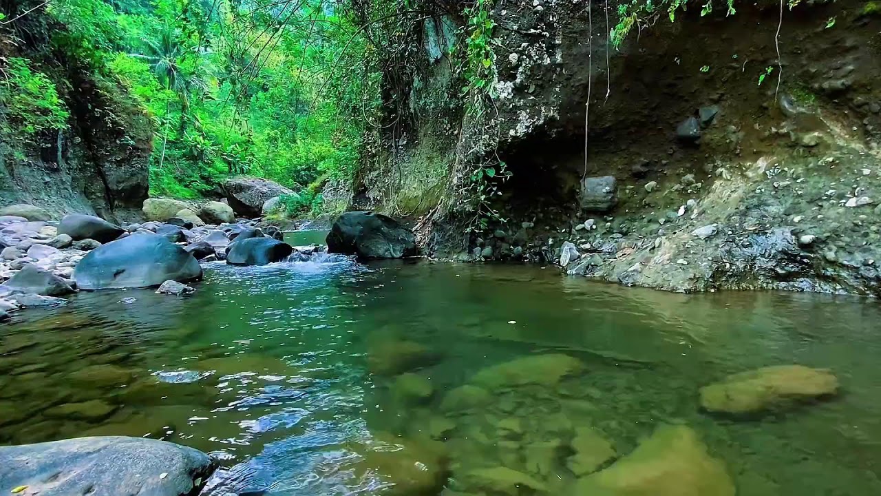 Mountain Stream Water Ambience, Forest River Flow, Sleep