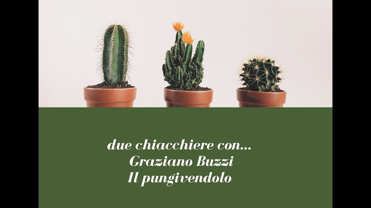 Piante Grasse - i consigli di base per una buona coltivazione