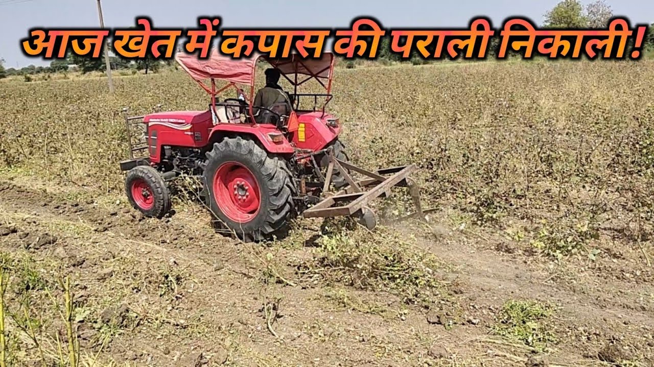 "कपास की फसल के बाद पराली निकाली | Cotton Stalk Removal | Farmer Life Vlog 