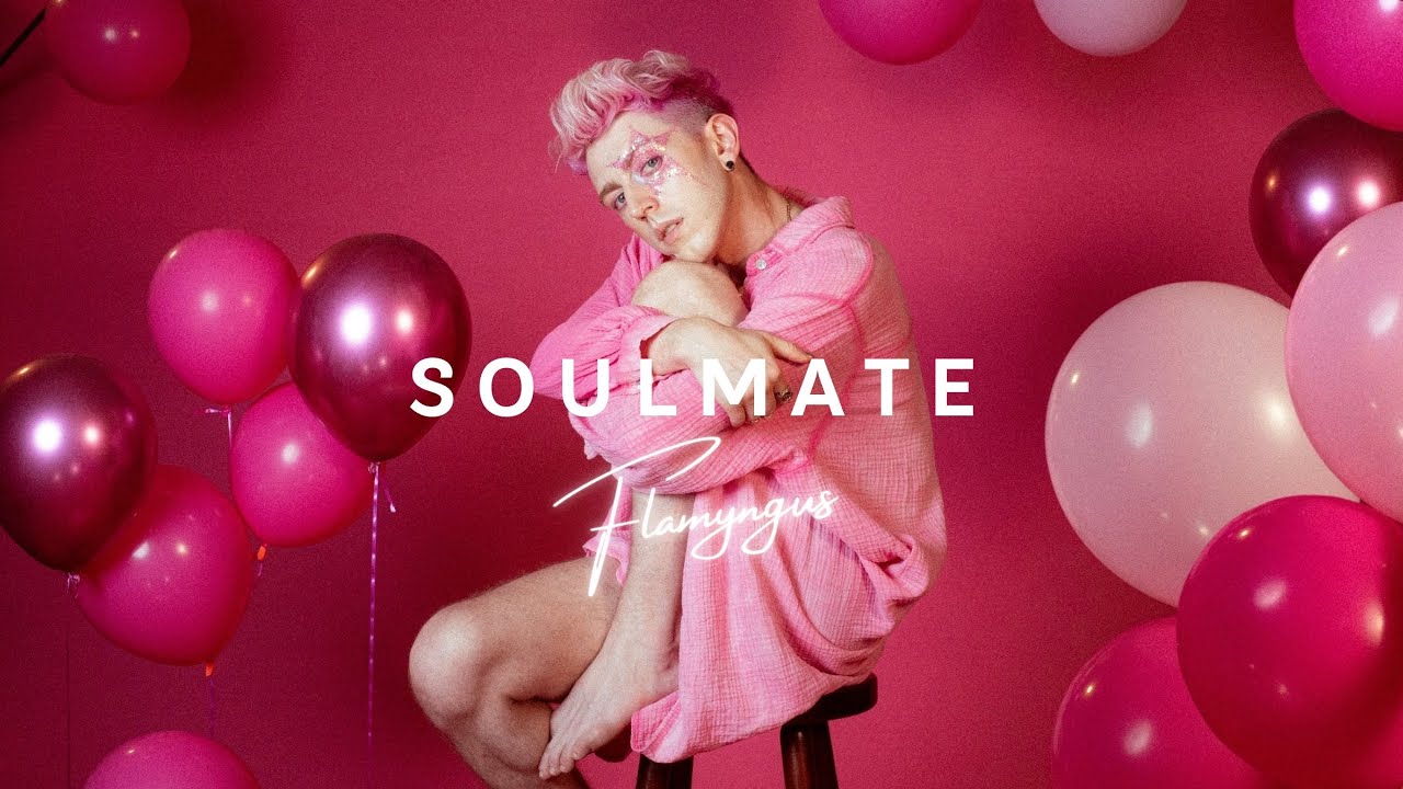 Flamyngus – Soulmate (Official Video)
