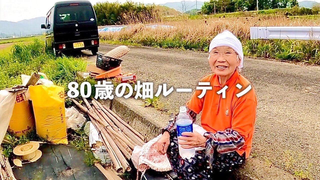 80歳おばあちゃんが作る夏野菜